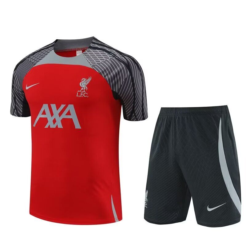 AAA Quality Liverpool 24/25 Red/Grey Training Kit Jerseys